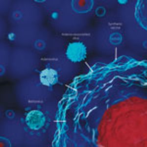 Affinity Chromatography Accelerates Viral Vector Purification for Gene Therapies