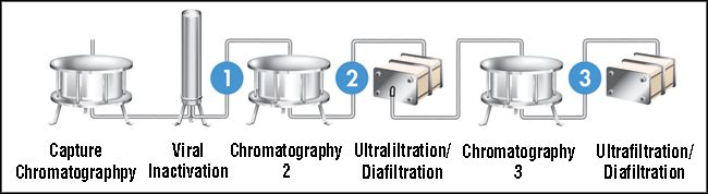 Filterable Virus Virus Removal by Filtration: Points to Consider