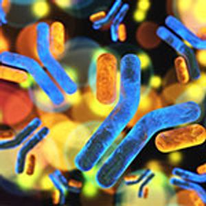 Modeling the Degradation of mAb Therapeutics