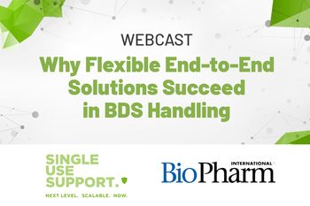 Why Flexible End-to-End Solutions Succeed in BDS Handling