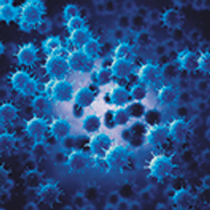 Validating Virus Clearance in a Single-Use System Part 1: Film Adsorption and Virus Inactivation Studies