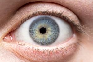 Close-up photograph of a wide-open human eye with a blue-gray iris flecked with gold, a dark pupil, and visible upper and lower eyelashes. | Image Credit: © bradleyblackburn - stock.adobe.com