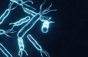 Glowing helicobacter pylori bacteria cells on dark blue background. Gastritis disease. 3d-rendering | Image Credit: © ecrow - stock.adobe.com