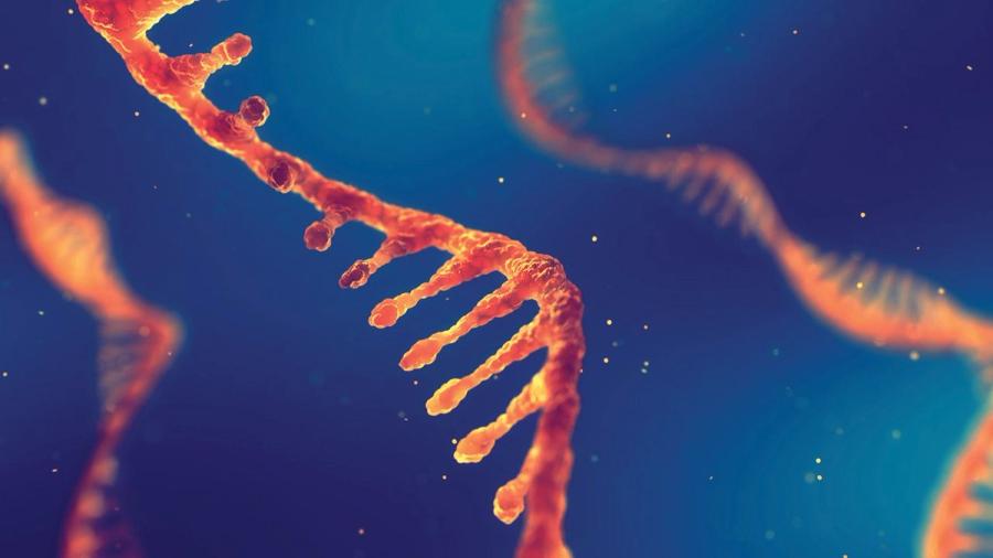 Driving Innovation in Nucleic Acid Therapeutics; Image: nobeastsofierce - stock.adobe.com