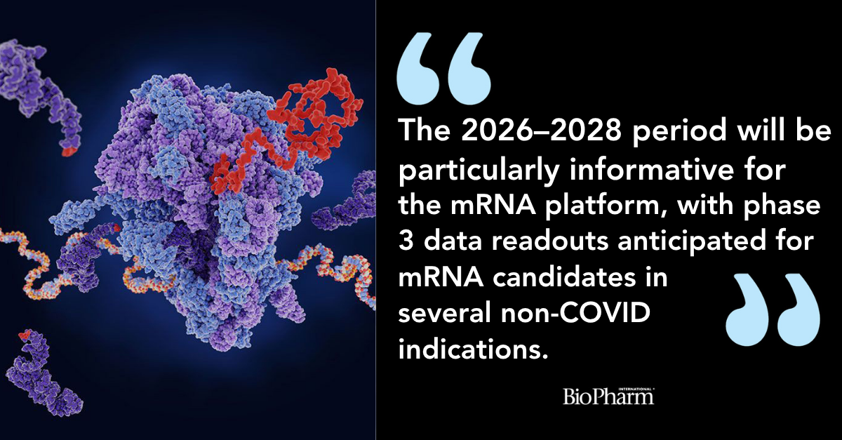 Ribosome translating mRNA into a polypeptide chain | Image credit: © Juan Gärtner - © Juan Gärtner - stock.adobe.com