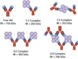 Metacomplex Formation and Binding Affinity of Multivalent Binding Partners