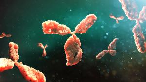 Molecular model of antibody taking part in immune defence. Molecule of immunoglobulin on dark background, 3D illustration| solvod - stock.adobe.com