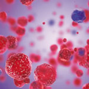 The Immune Context in Microbiological Testing