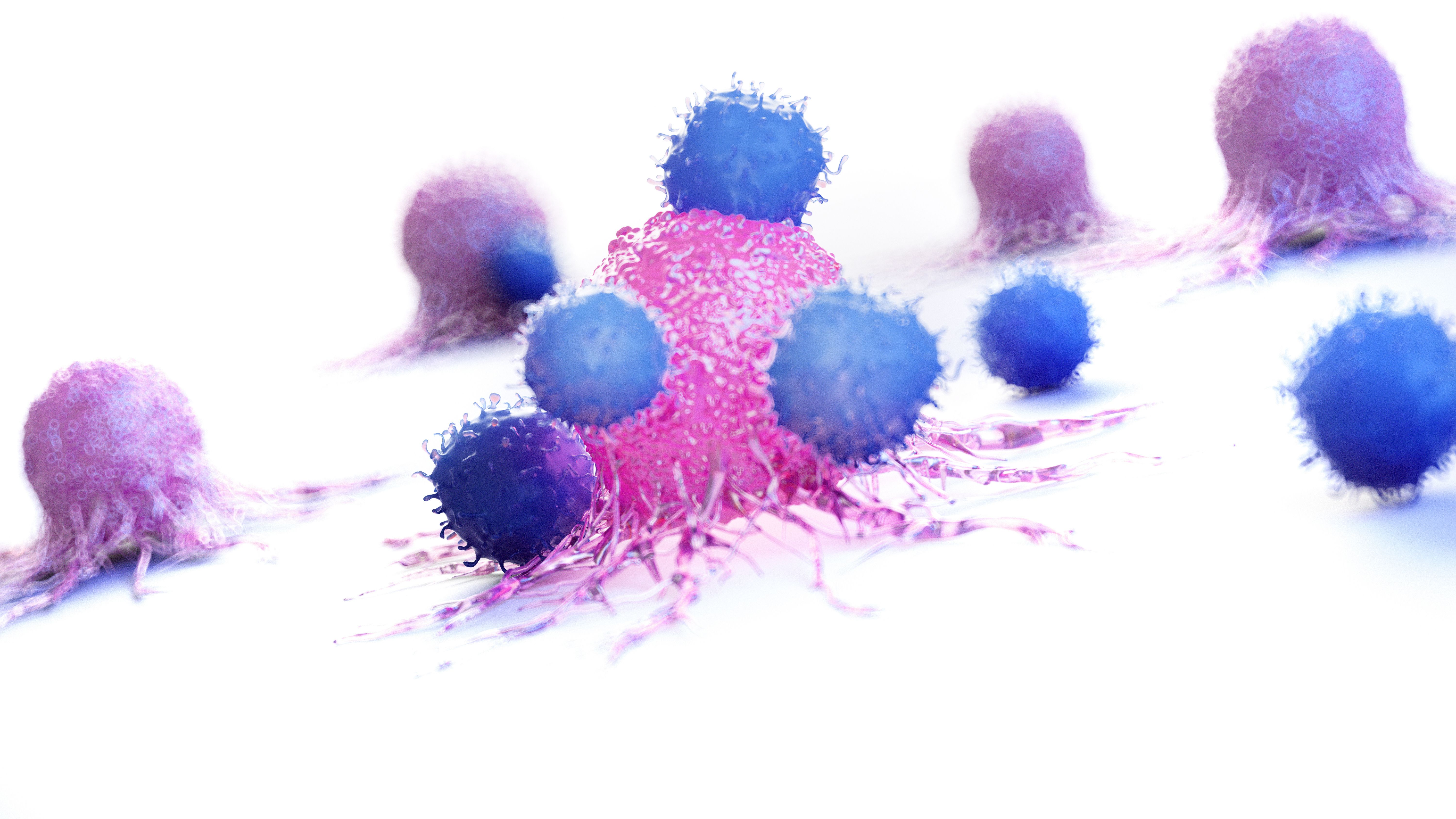 3D rendered illustration of a cancer cell being attacked by leukocytes. | Image Credit: © Sebastian Kaulitzki - stock.adobe.com