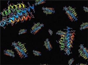 Measuring Protein Mobility with Electrophoretic Light Scattering
