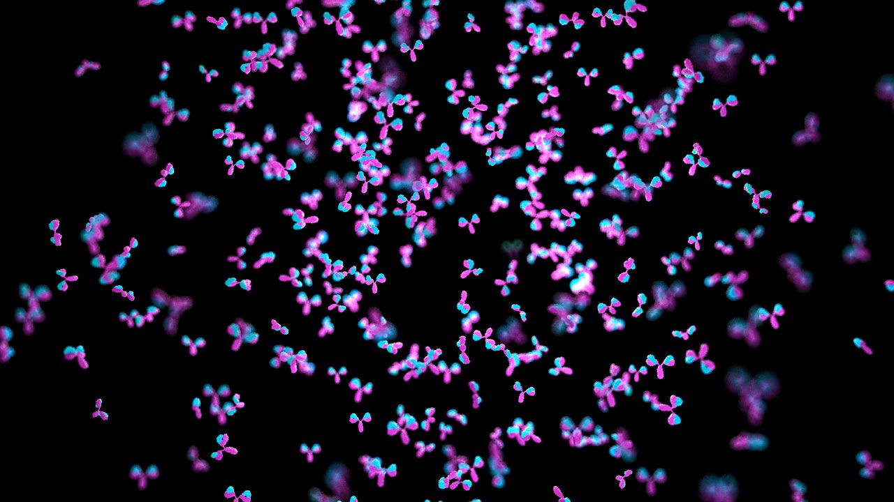 Defining a Holistic Approach to mAb Purification Processes; image: SciePro/Stock.Adobe.com