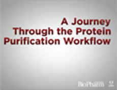 BioPharm International Sponsored eBooks-10-15-2016