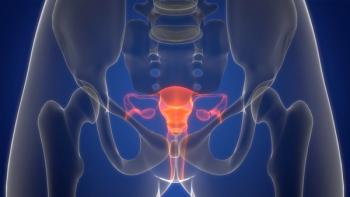 3D illustration of a translucent human pelvis with the uterus, fallopian tubes, ovaries, cervix, and vagina highlighted in orange against a blue background. | Image Credit: © magicmine - stock.adobe.com