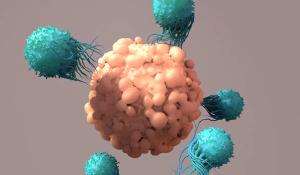 T-Cells Work to Fight Cancer, Immunotherapy, CAR T-cell therapy, 3d rendering | Image credit: © Design Cells - © Design Cells - stock.adobe.com