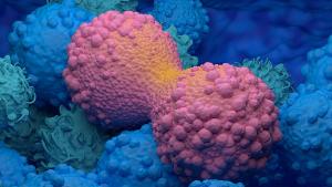 Dividing breast cancer cell closeup view 3d illustration | Image credit: © LASZLO - © LASZLO - stock.adobe.com