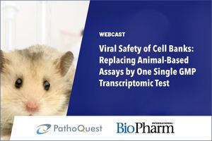 Viral Safety of Cell Banks: Replacing Animal-Based Assays by One Single GMP Transcriptomic Test