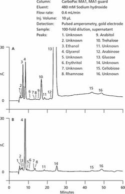 Application of Ion Chromatography with Electrochemical Detection in Optimization and Control of Fermentation and Cell Culture
