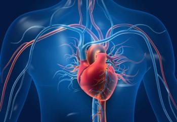 3D illustration of the human cardiovascular system showing the heart and surrounding blood vessels. | Image Credit: © Rasi - stock.adobe.com