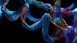 Chain of amino acid or bio molecules called protein - 3d illustration | Image Credit: © Christoph Burgstedt - © Christoph Burgstedt - stock.adobe.com