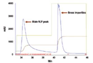 Fig4_AEX_chromatogram_t-633146-1408645866912.jpg