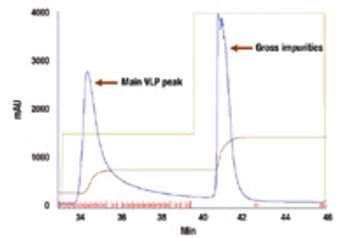 Fig4_AEX_chromatogram_t-633146-1408645866912.jpg