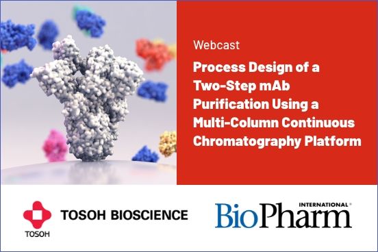 Process Design of a Two-Step mAb Purification Using a Multi-Column ...