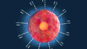 Bristol Myers Squibb's GPRC5D-Directed CAR T Cell Therapy Meets Primary Endpoint in Multiple Myeloma
