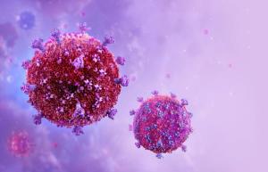 3D illustration of two spherical virus particles with textured red and purple surfaces and scattered protruding surface proteins, against a soft purple background. | Image Credit: © Corona Borealis - stock.adobe.com