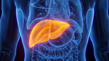 3D rendered medical illustration of male anatomy showing the liver. | Image Credit: © Sebastian Kaulitzki - stock.adobe.com