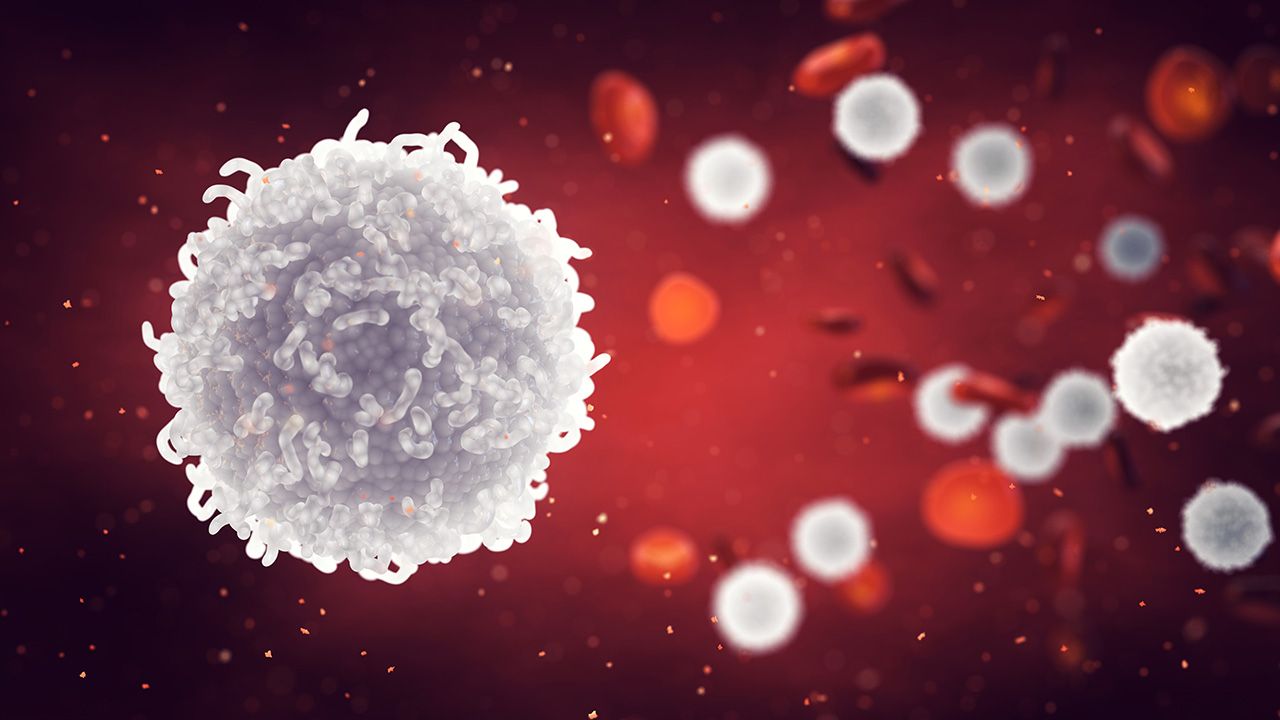 White and red blood cells, Leukocytes , Immune system and Infectious diseases | Image credit: © nobeastsofierce - © nobeastsofierce - adobe.stock.com 