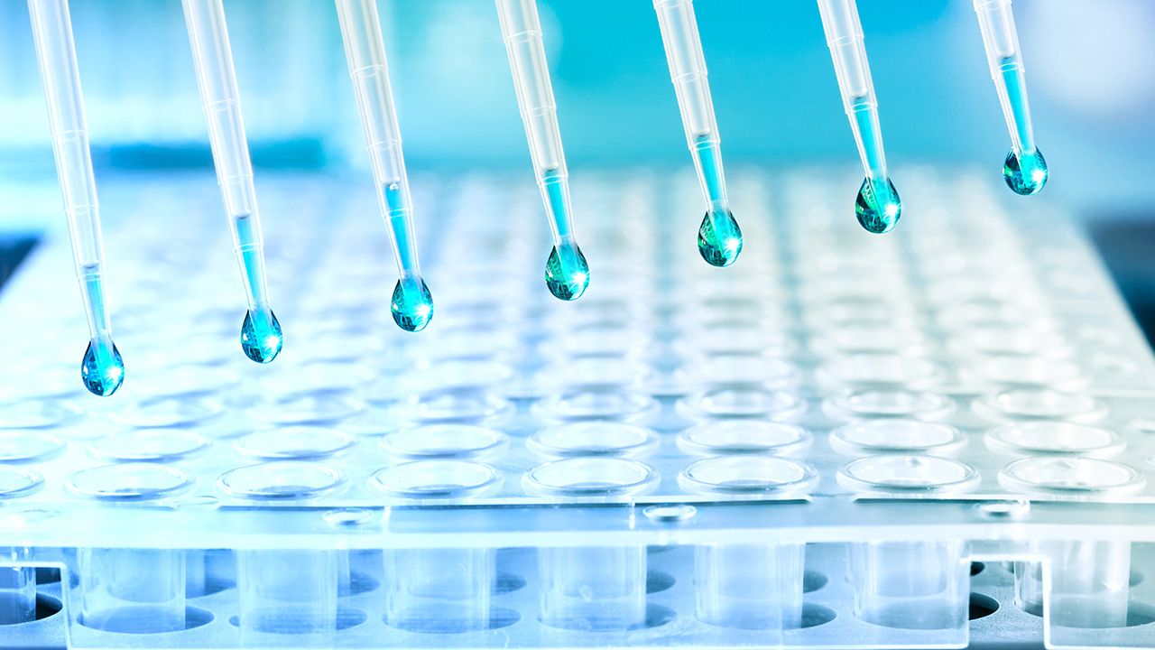 tilialucida/Stock.adobe.com – the development of CAR-T cell therapies is a complex process that requires standardization of analytical techniques.