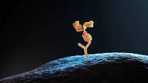 Moving Biosimilars Forward in a Hesitant Market