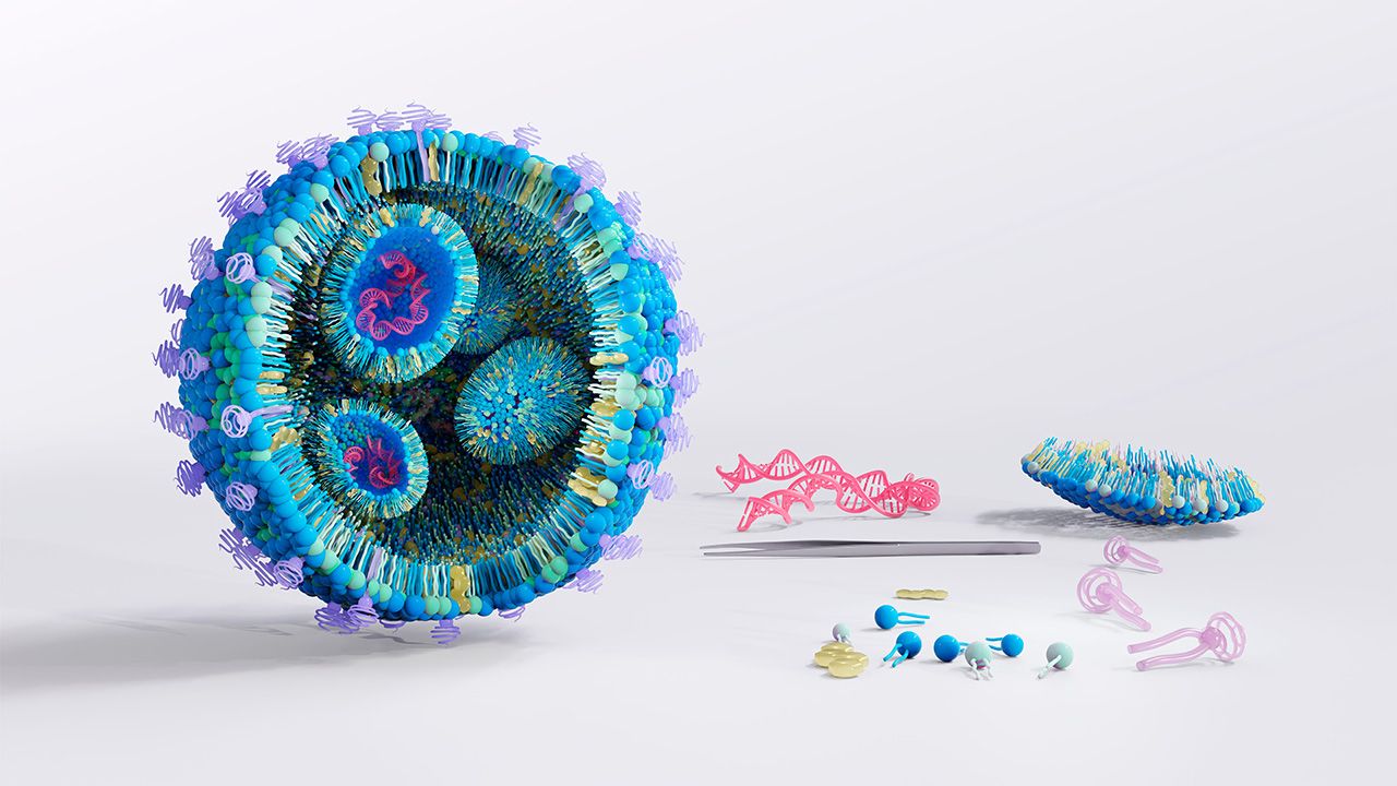 Lipid nanoparticle (LNP) structure illustration. Lipid nanoparticles are promising vehicles to deliver a variety of therapeutics like DNA vaccines or for infectious diseases and cancer. | Image credit: © TuMeggy - © TuMeggy - stock.adobe.com