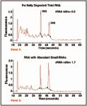 Validating RNA Quantity and Quality: Analysis of RNA Yield, Integrity ...