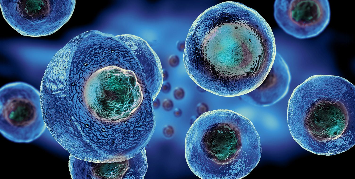 Full-Service Cell Therapies