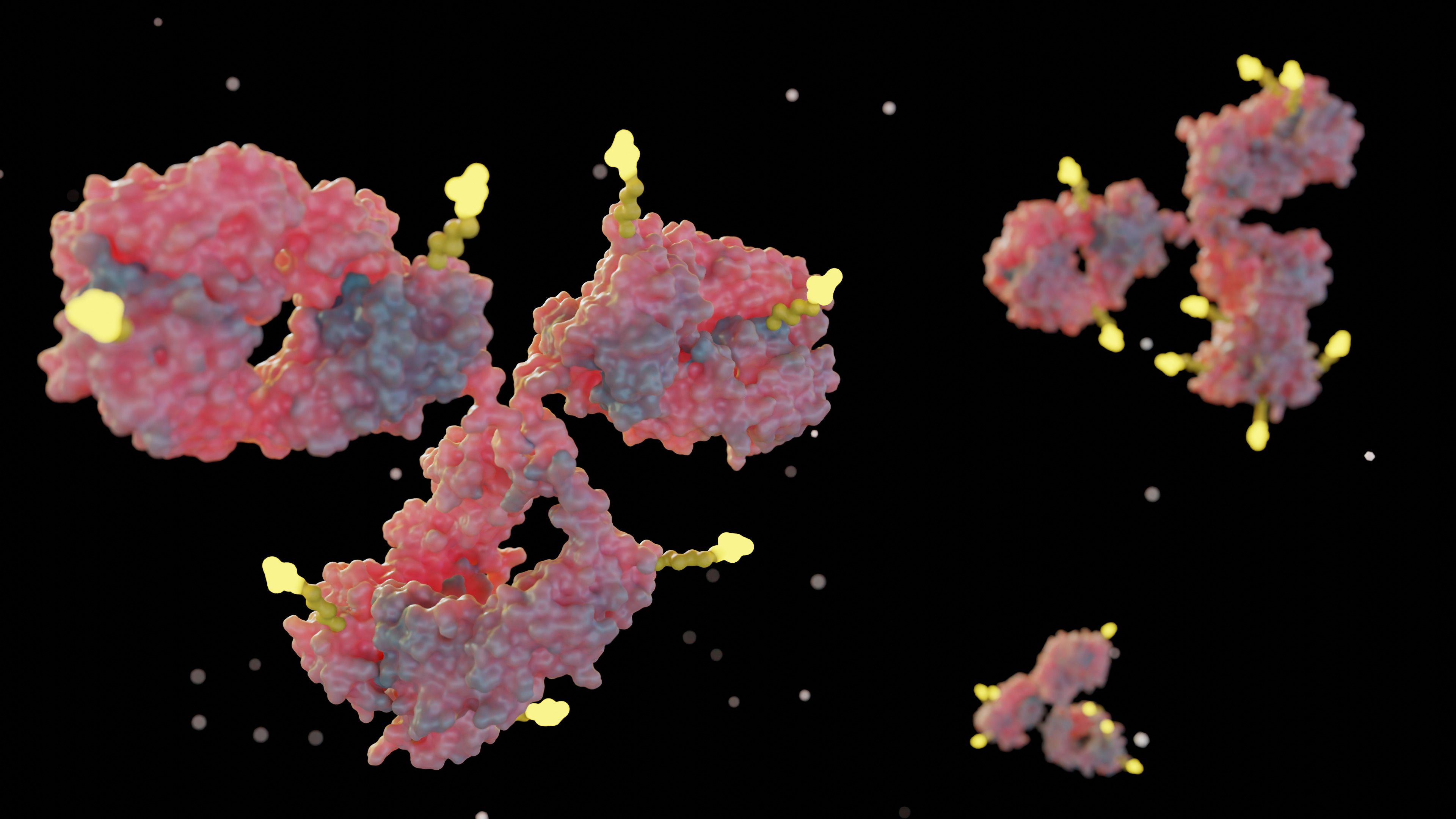 Conceptual illustration of EGFR HER3 bispecific antibody drug conjugate representing China NMPA approval of iza-bren izalontamab brengitecan for nasopharyngeal carcinoma | Image Credit: © Love Employee - stock.adobe.com