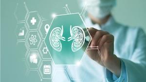 Illustration of kidney cross-sections displayed on a digital medical interface, held by a healthcare professional. | Image Credit: © mi_viri - stock.adobe.com
