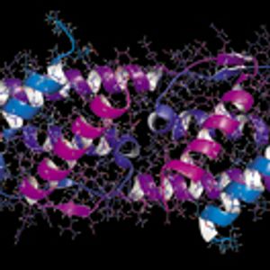 Commercializing High-Concentration mAbs