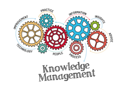 Points to Consider for Knowledge Management Acceleration