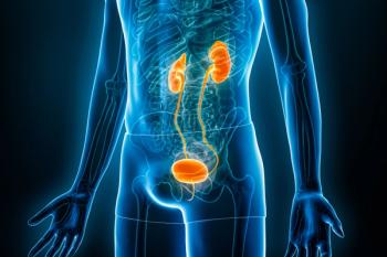 3D X-ray-style illustration of a human torso with the kidneys, ureters, bladder, and urethra highlighted in orange against a blue background. | Image Credit: © Matthieu - stock.adobe.com
