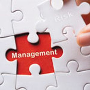 Process Outweighs Experience with Risk Management