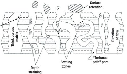 Fig4_depth_filter_operation-513386-1416914391839.jpg
