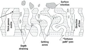 Fig4_depth_filter_operation-513386-1416914391839.jpg
