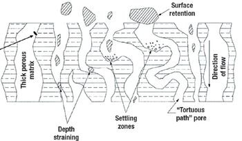 Fig4_depth_filter_operation-513386-1416914391839.jpg