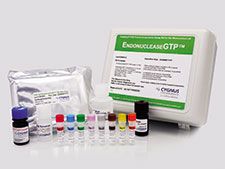 PT_Cygnus-EndonucleaseGTP-ELISA_225-New-1556810213413.jpg