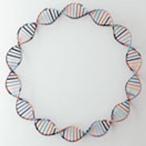 Use of an E. coli pgi Knockout Strain as a Plasmid Producer