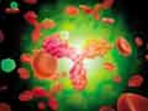Downstream Purification and Formulation of Fab Antibody Fragments