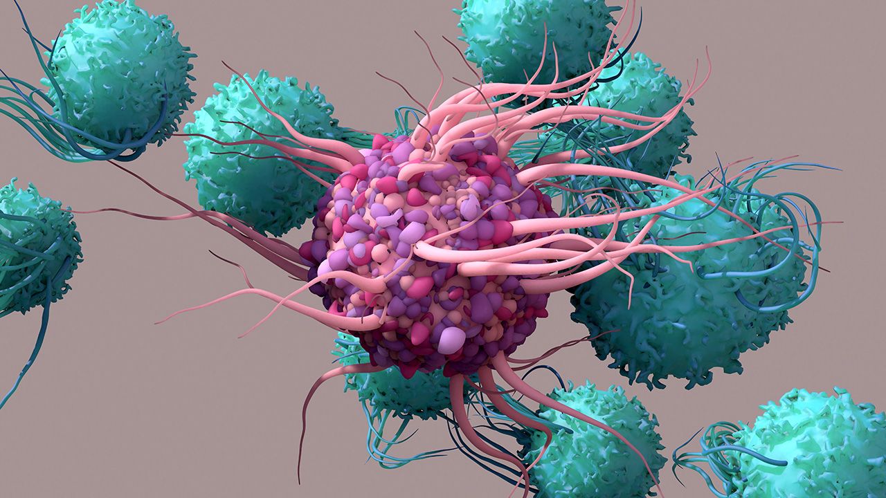 Dendritic Cell activate T cells, trigger immune responses, they are responsible of cells protection of the body. | Image credit: © Design Cells - © Design Cells - stock.adobe.com