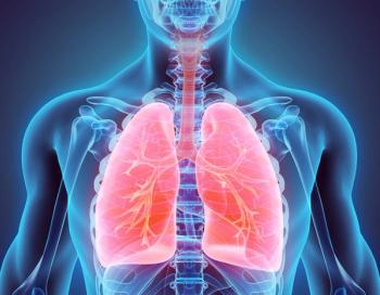 3D illustration of human lungs. | Image Credit: © yodiyim - stock.adobe.com