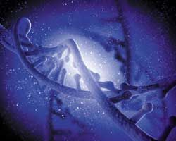 Quantitative Mycoplasma DNA Offers Quality Control
